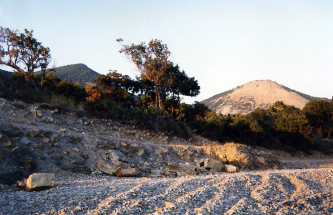 1999-08