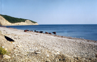 1999-08