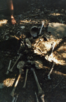 1999-08