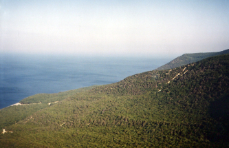 1999-08